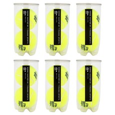 TYRANNO SPORTS Swing Master 網球比賽球 2入, 黃色, 6個