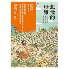想飛的母雞, 聯經, 黃善美, 幼幼書