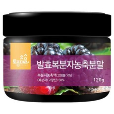 토종마을 발효복분자농축분말 국산 고창산, 120g, 1개