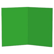 Beneble 便攜式攝影補光反射板 雙面綠白 A4, 1個, 單一商品