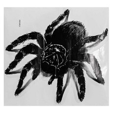 PARTYSHOW 萬聖節裝飾貼紙, 1個, 大型蜘蛛