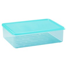 Steelworks Tangle Kit 冷凍容器 2.3L 冰藍色, 1個, 1入