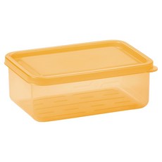 스틸웍스 탱글킷 냉동용기 300ml 텐저린, 1개, 1개입