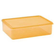 스틸웍스 탱글킷 냉동용기 2.3L 텐저린, 1개, 1개입