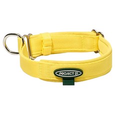 PROJECT 21 狗狗馬丁格爾護頸緩衝項圈, 1個, 檸檬