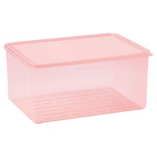 스틸웍스 탱글킷 냉동용기 3.8L 베리핑크, 1개, 1개입