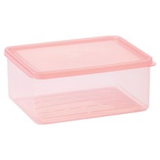 Steelworks Tangle Kit 冷凍容器 1L 莓果粉, 1個, 1入