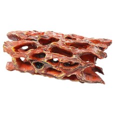 레몽크리프 체리새우 레진 수족관 조경 새우 은신처 놀이터, 1개