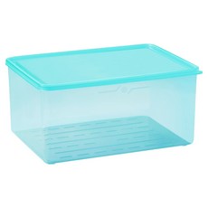 스틸웍스 탱글킷 냉동용기 3.8L 아이스블루, 1개, 1개입