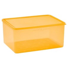 Steelworks Tangle-Kit 冷凍容器 3.8L 橘色, 1個, 1入