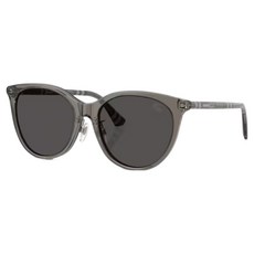BURBERRY 巴寶莉 膠框太陽眼鏡 BE4464D-416087