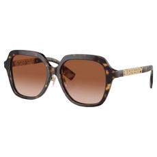 BURBERRY 巴寶莉 膠框太陽眼鏡 BE4389F-300213