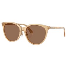 BURBERRY 巴寶莉 膠框太陽眼鏡 BE4464D-416773