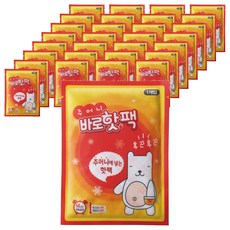 FARMTECH 口袋立即熱暖暖包 50入, 1個