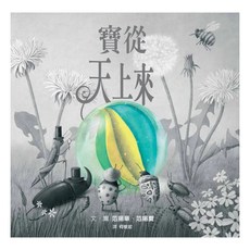 寶從天上來, 范揚華 Terry Fan + 范揚夏 Eric Fan, 人際關係繪本, 格林文化