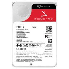 씨게이트 IronWolf Pro HDD, 30TB, ST30000NT011