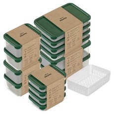 실리쿡 말랑납작이 베이직 기프트 세트 숲초록, 1세트