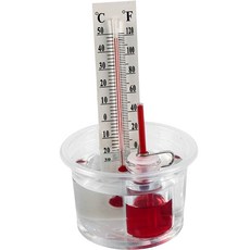 Nektron 物理科學實驗DIY套組 溫度計 300 x 200 x 100 mm, 1個