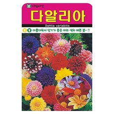 아람종묘 다알리아 꽃 씨앗 100p, 1개