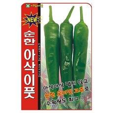 아람종묘 순한 아삭이풋 오이맛고추 씨앗, 1개