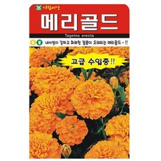 아람종묘 메리골드 꽃 씨앗, 1개 1개