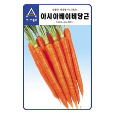 아시아종묘 베이비 당근 씨앗, 1개