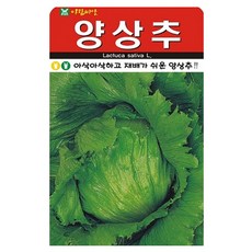 아람종묘 양상추 씨앗 1000p, 1개 1개