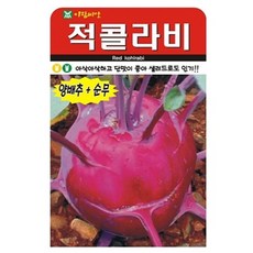 아람종묘 적콜라비 씨앗, 레드콜라비
