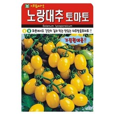 아람종묘 노랑대추토마토 씨앗, 1개