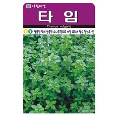 아람종묘 허브 타임 씨앗, 1개 1개