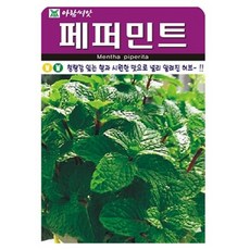 아람종묘 허브 페퍼민트 씨앗, 1개 1개