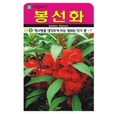 아람종묘 봉선화 꽃 씨앗 500p