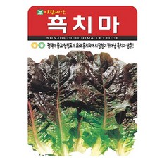 아람종묘 흑치마 상추 씨앗 2000립, 1개