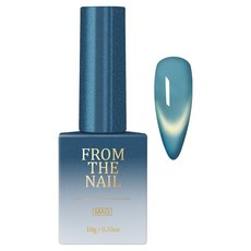FROM THE NAIL TIDY 磁吸凝膠美甲, FG301, 1個, 10g