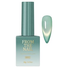 FROM THE NAIL Tidy 磁吸凝膠美甲, FG302, 1個, 10g