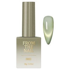 FROM THE NAIL Tidy 磁吸凝膠美甲, FG303, 1個, 10g