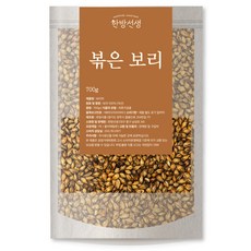 한방선생 국내산 볶은 보리차, 700g, 1개, 1개입