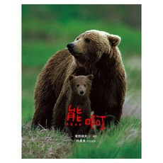 美麗新世界 : 熊啊 新版, 親子天下, 星野道夫, 不適用