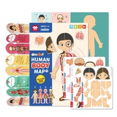 ariati 磁性遊戲板 人體認知, 35片, 1套, 混和顏色
