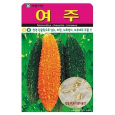 아람종묘 여주 씨앗 10p, 1개