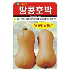 아람종묘 땅콩호박 씨앗 10p, 1개