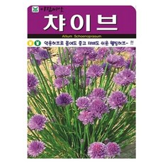 아람종묘 허브 챠이브 씨앗 400p, 1개