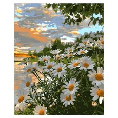 daysoy 感性居家裝飾 DIY 數字油畫 帆布畫作 15 黃昏野花 30 x 40 cm, 1個, 混合色