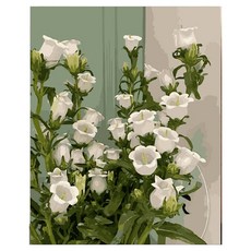 daysoy 感性裝潢 DIY 數字油畫 帆布畫 18號 白色花束 30 x 40 cm, 1個, 混合色