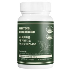 라이프토콜 체지방 감소 녹차 카테킨 400 42g, 1개, 60정