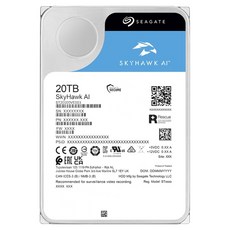 씨게이트 SkyHAwk AI HDD, 20TB, ST20000VE003