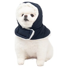 초코펫하우스 강아지 산책왕 패딩 귀돌이 모자, 네이비, 1개