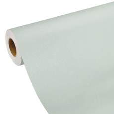 지엔홈 국내산 곰팡이 방지 현관문 방문 맞춤 리폼시트, DFDS-04 민트