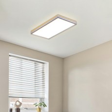 vittz 韓國製 60W 無頻閃 LED Libena 吸頂燈, 白色