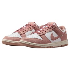 NIKE 耐吉 女款 WMNS DUNK LOW 運動鞋 IB4417-102